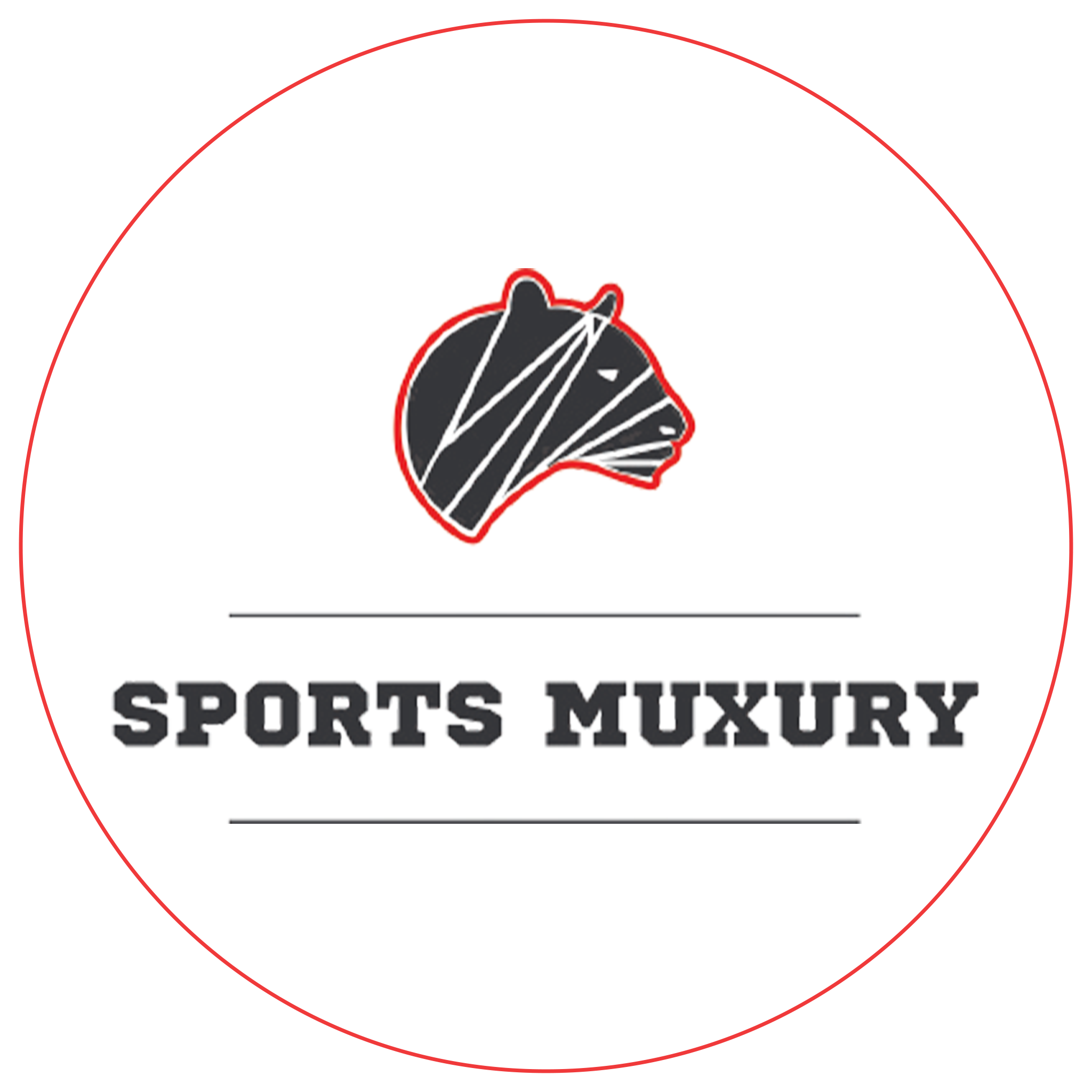 Our New Website Launch: A New Era for Sports Muxury